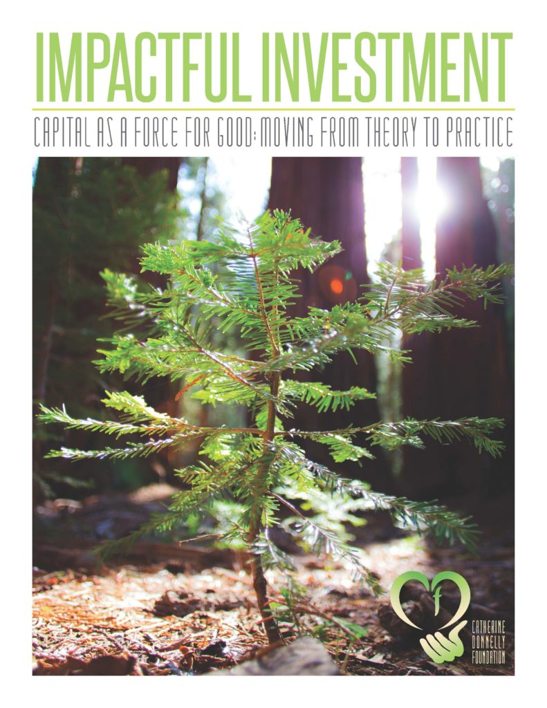 CDF Impactful Investment Report cover image